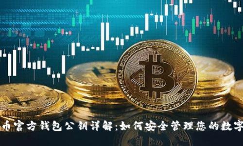 狗狗币官方钱包公钥详解：如何安全管理您的数字资产