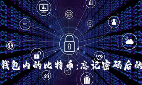 如何找回钱包内的比特币：忘记密码后的解决方案