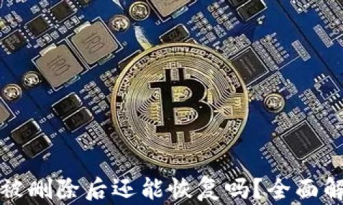 
TP钱包中的币被删除后还能恢复吗？全面解析与解决方案