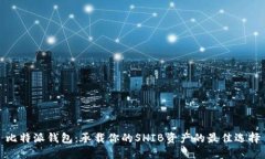 比特派钱包：承载你的SHIB资产的最佳选择