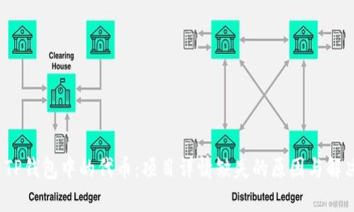  探索TP钱包中的代币：项目详情缺失的原因与解决方案