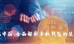 比特币在中国：全面解析