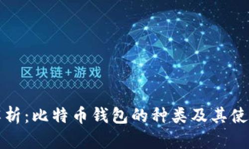全面解析：比特币钱包的种类及其使用指南