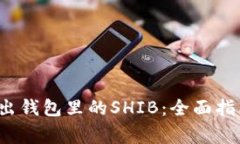  如何顺利卖出钱包里的SHIB：全面指南与注意事项
