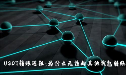 : USDT转账遇阻：为什么无法向其他钱包转账？