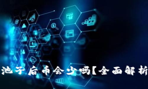 : TP钱包加池子后币会少吗？全面解析与风险提示