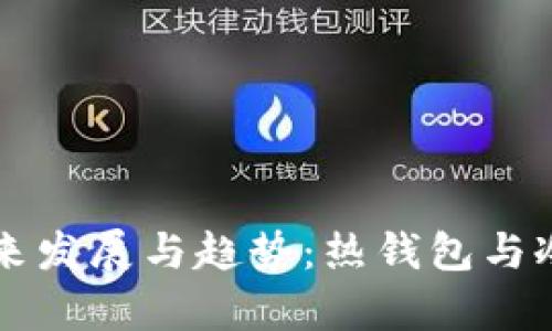 以太坊钱包的未来发展与趋势：热钱包与冷钱包的深度解析