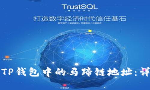 如何找到TP钱包中的马蹄链地址：详解与指导