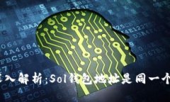 : 深入解析：Sol钱包地址是