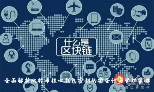 全面解析比特币核心钱包密钥的安全性与管理策略