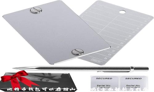 
比特币钱包可以存储山寨币吗？全面解析与指南