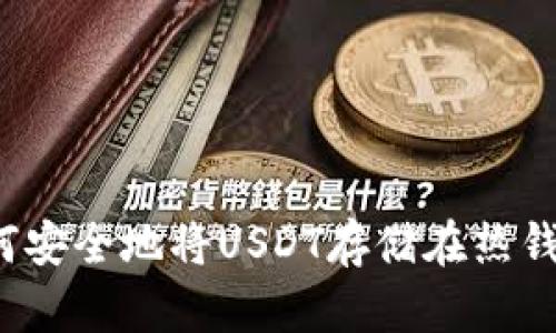 如何安全地将USDT存储在热钱包？
