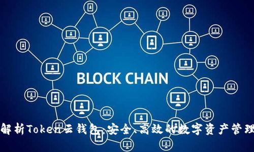 全面解析Token云钱包：安全、高效的数字资产管理工具