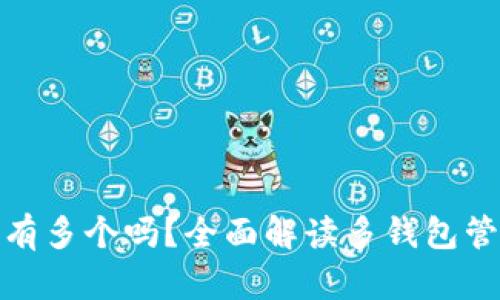 比特币钱包可以有多个吗？全面解读多钱包管理的优势与风险