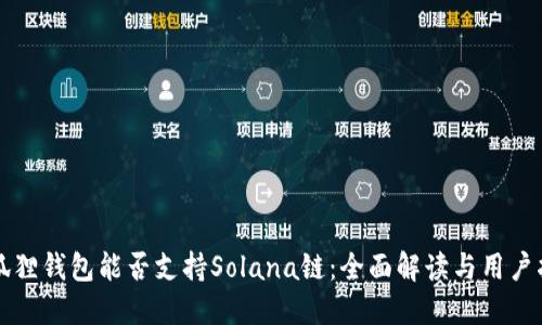 小狐狸钱包能否支持Solana链：全面解读与用户指南