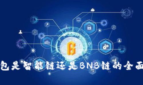 TP钱包是智能链还是BNB链的全面解析