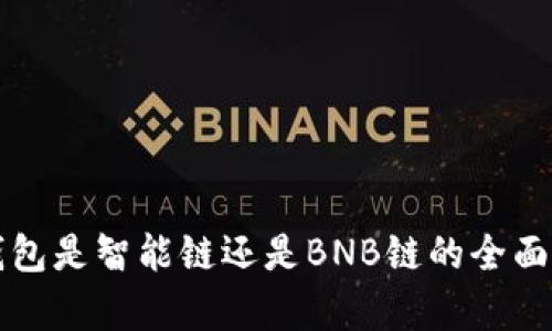 TP钱包是智能链还是BNB链的全面解析
