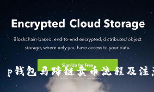 详解t p钱包马蹄链卖币流程及注意事项