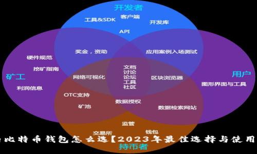 国内比特币钱包怎么选？2023年最佳选择与使用指南
