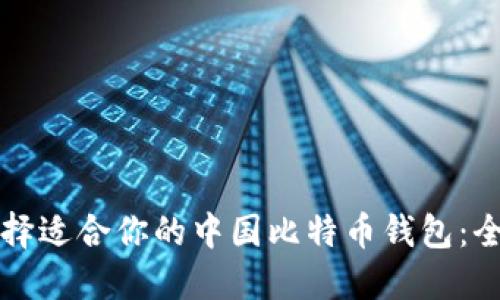 如何选择适合你的中国比特币钱包：全面指南