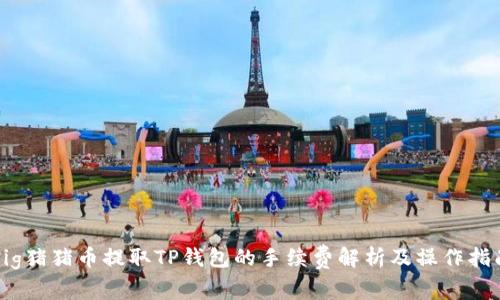 Pig猪猪币提取TP钱包的手续费解析及操作指南