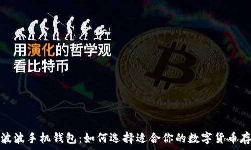   
比特币与瑞波波手机钱包：如何选择适合你的数字货币存储解决方案